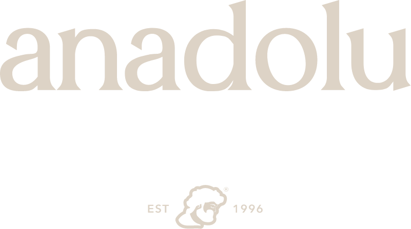 Logo Anadolu